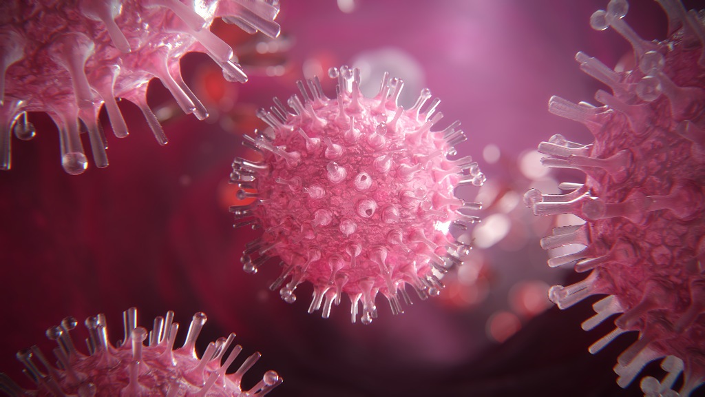 3D model of herpes virus designed by Random42