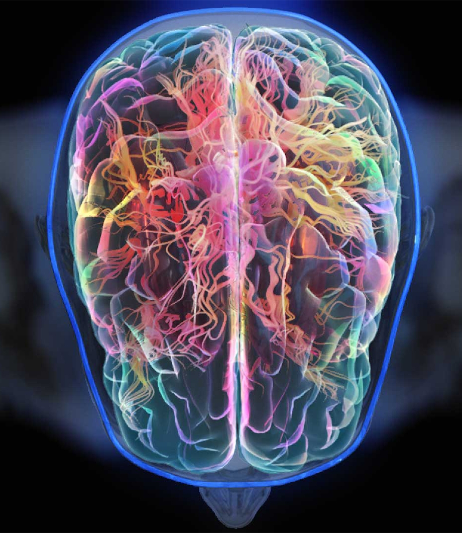 fantastic fungi medical animation