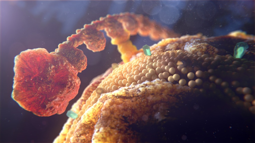 3D model of antihero single lipid ball designed by Random42