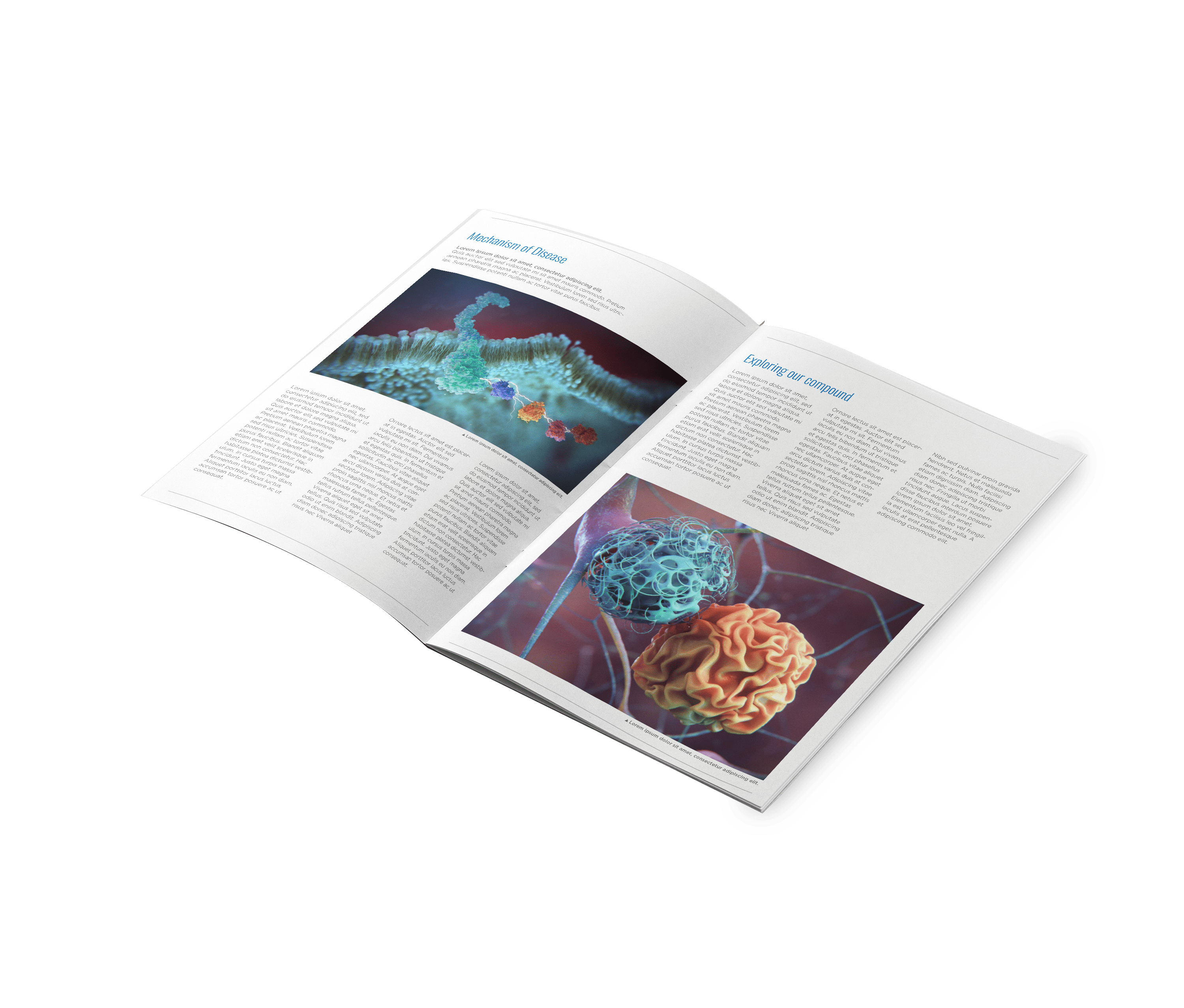 Corporate Communications Materials