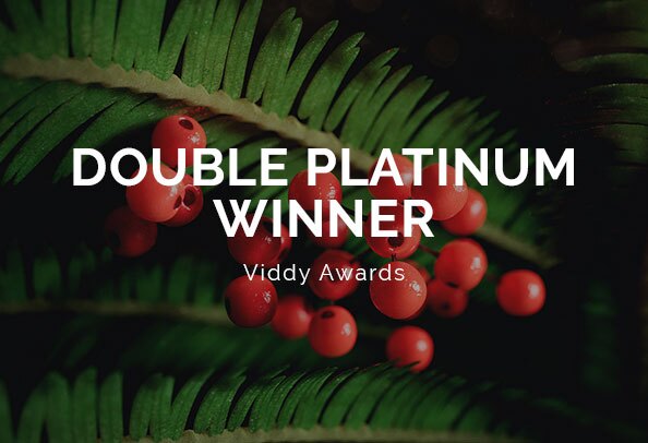 Viddy Awards 2023