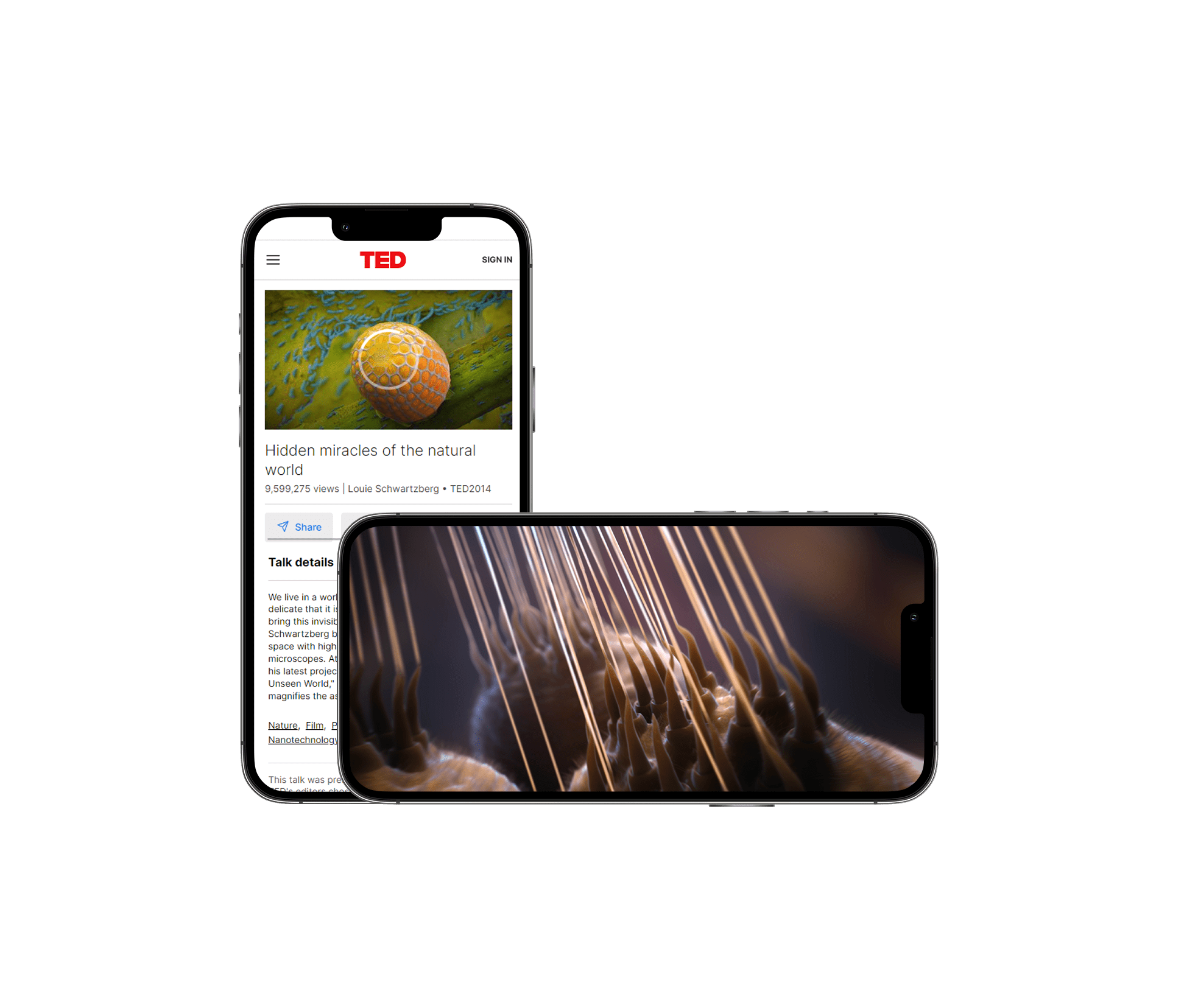 Random42 Mysteries of the Unseen World