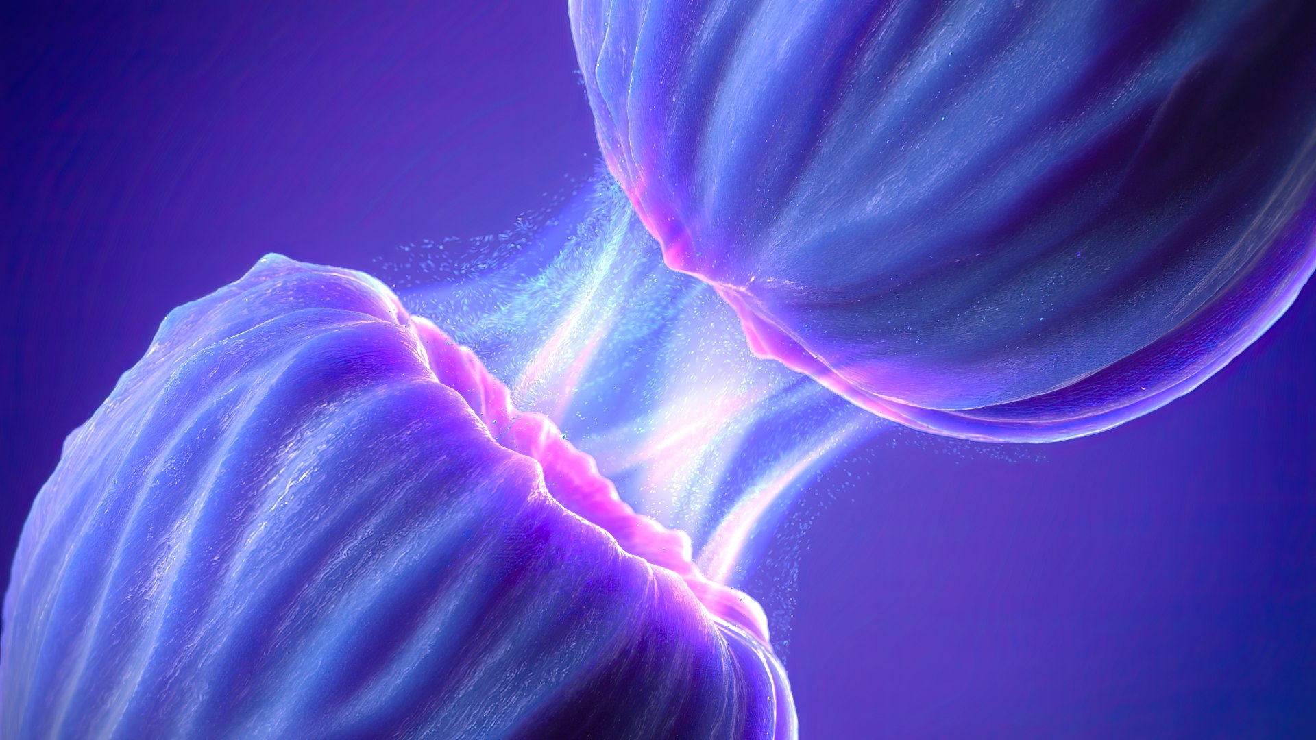 Thank you for contacting