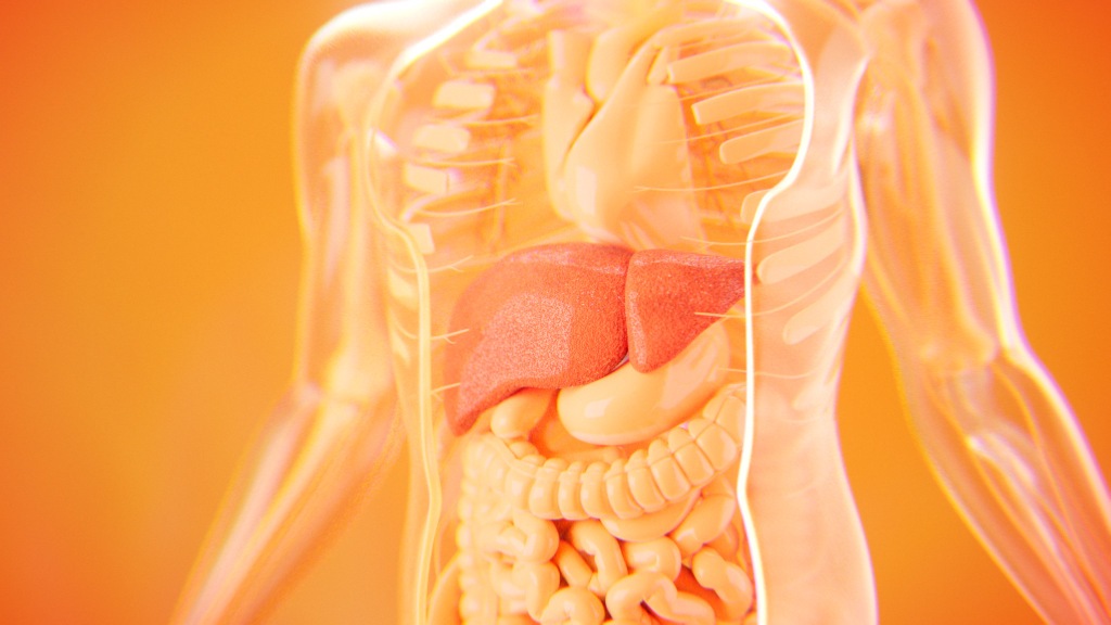 hpv infection liver medical animation