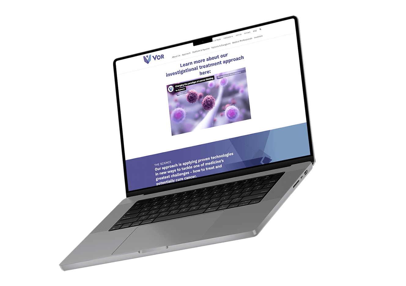 stem cell transplant oncology animation