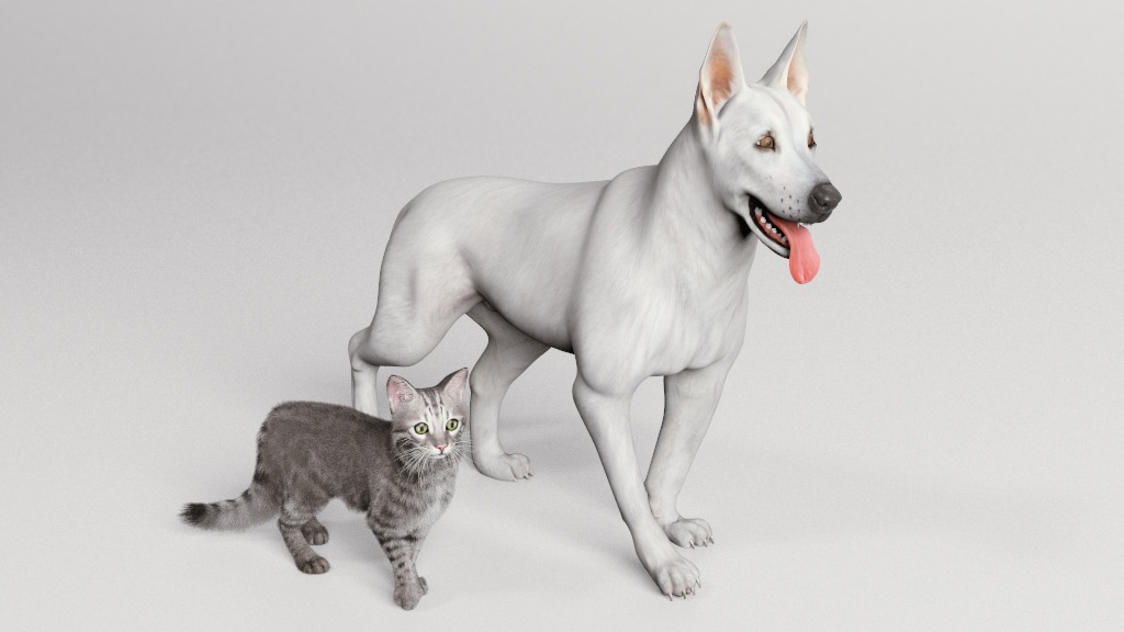 pet nutrition virtual reality