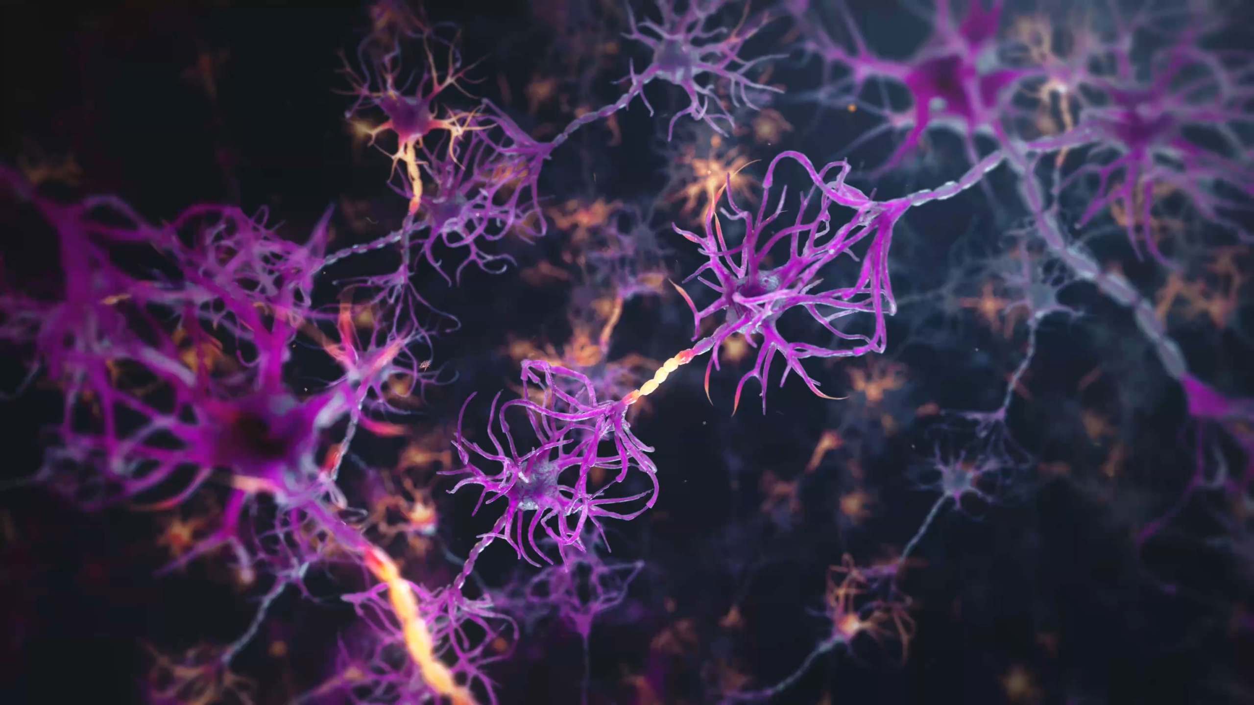 Random42 Medical Animation Showreel 2024