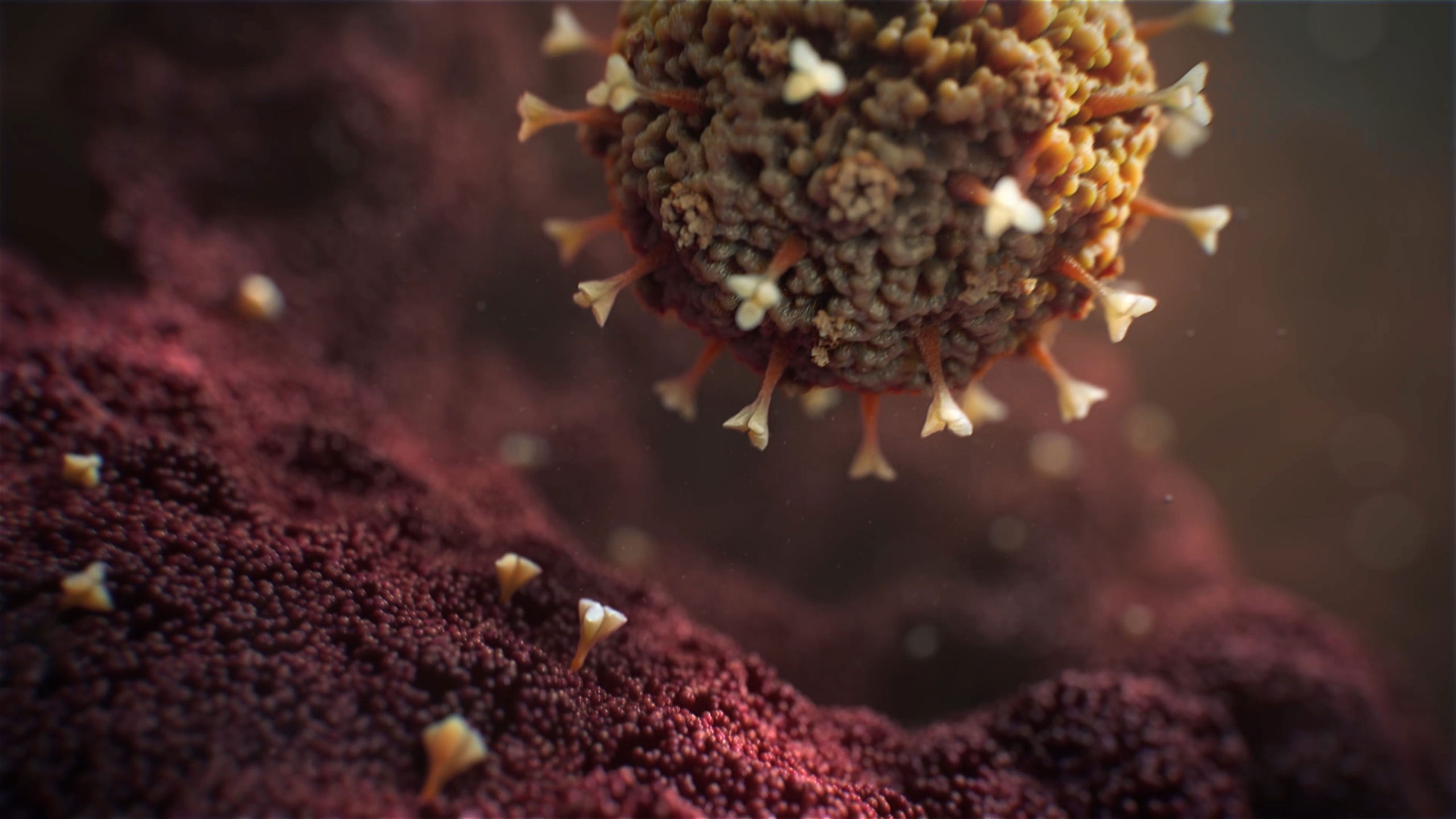 Random42 New Medical Animation Showreel 2024