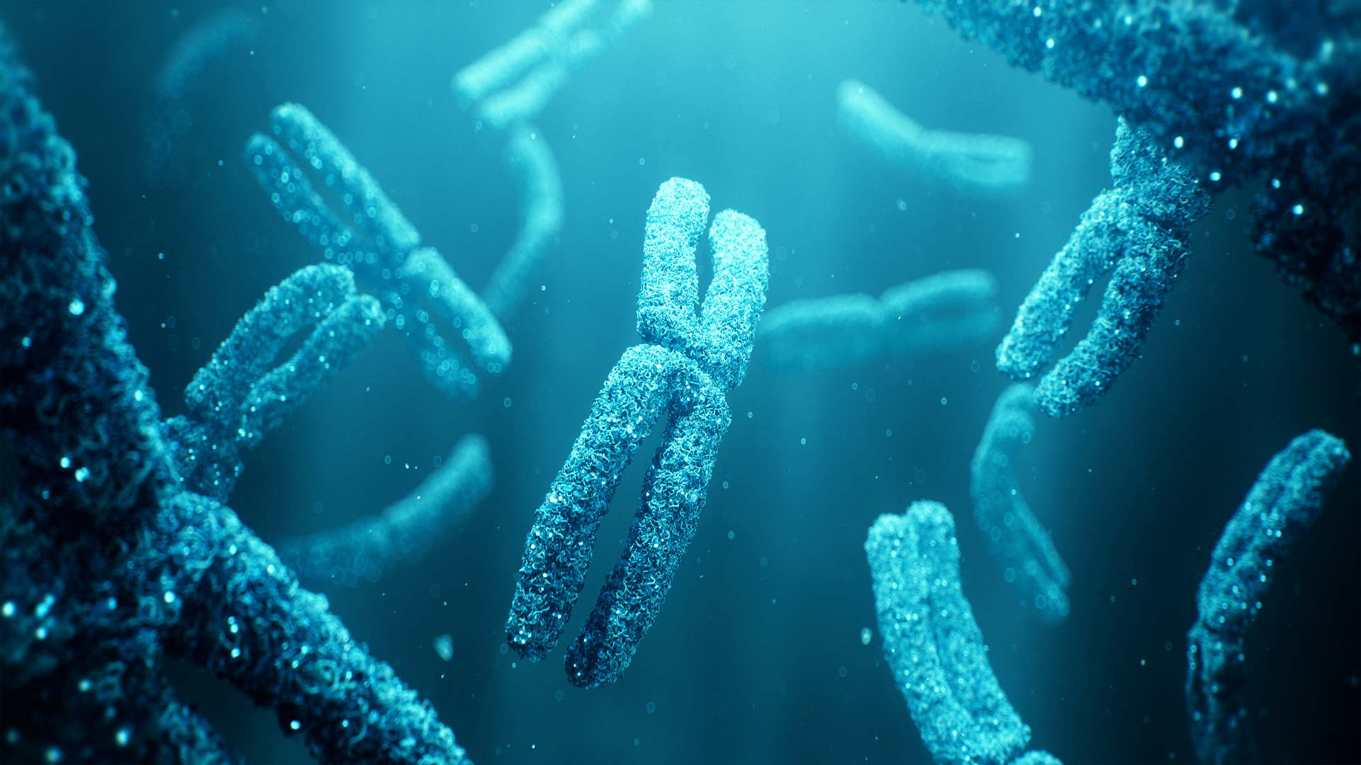 Medical Animation Showreel Random42