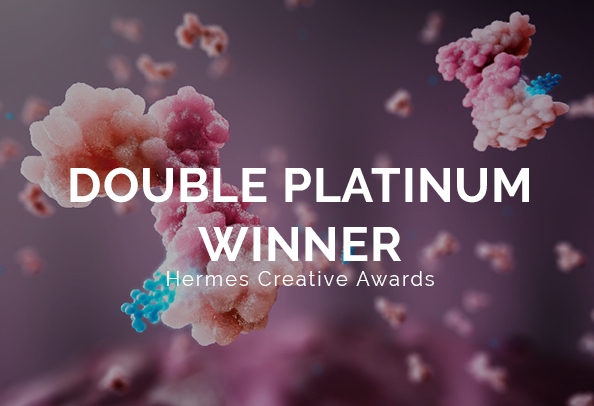 Hermes 2024 creative award