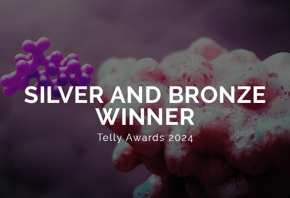 Random42 Telly Awards 2024