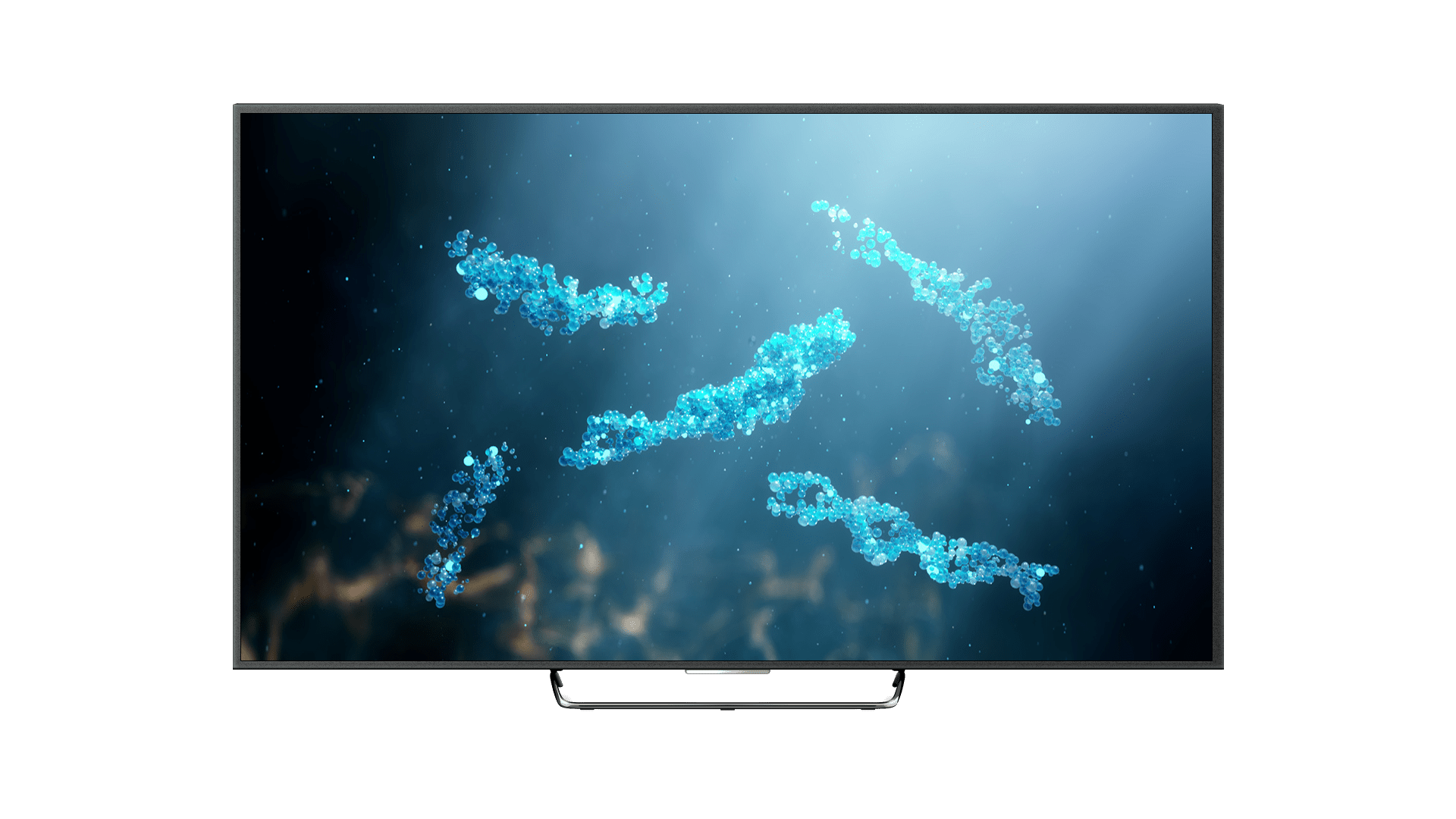 humans and other animals documentary