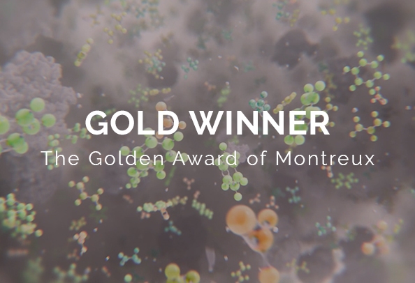 random42 golden award of montreux 2025