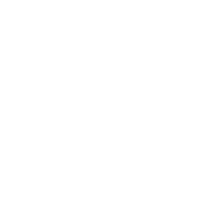 R42 Icon Social Media