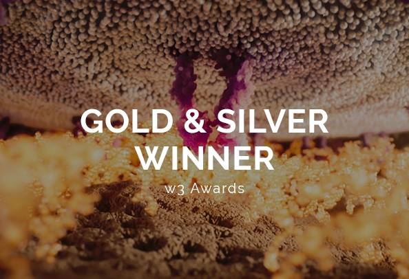 Random42 w3 awards 2025