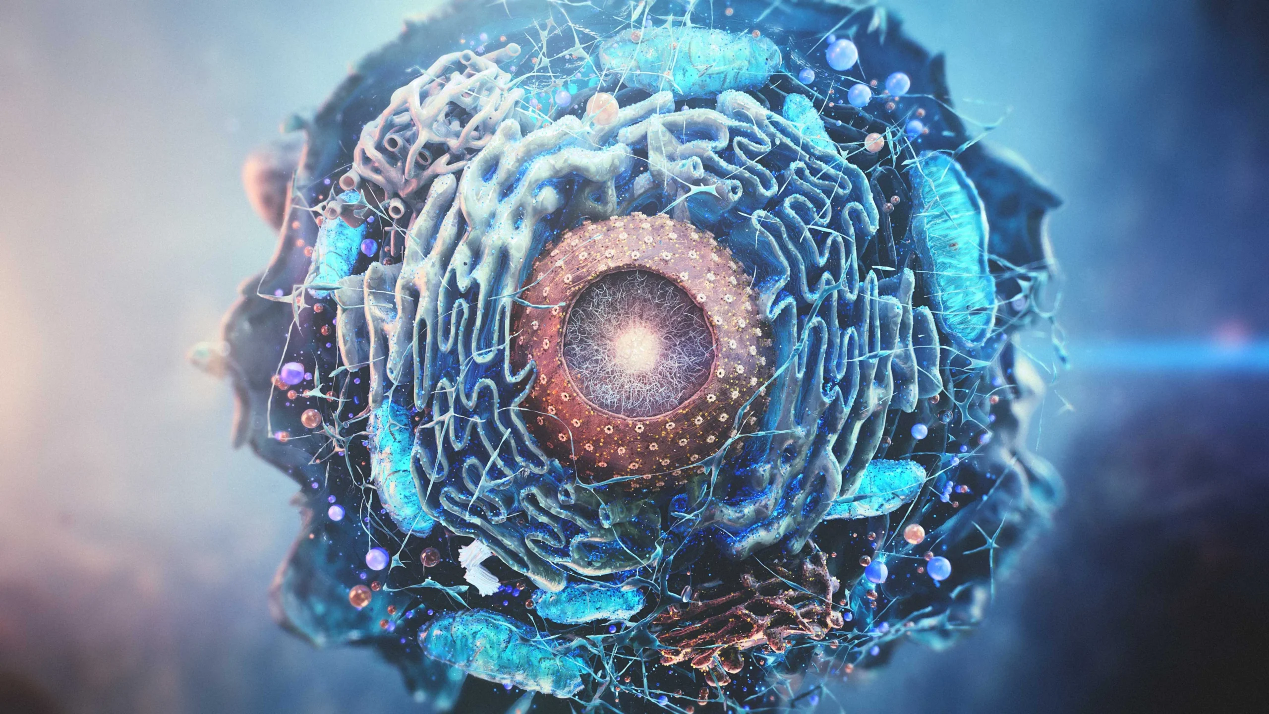 Random42 Medical Animation Showreel