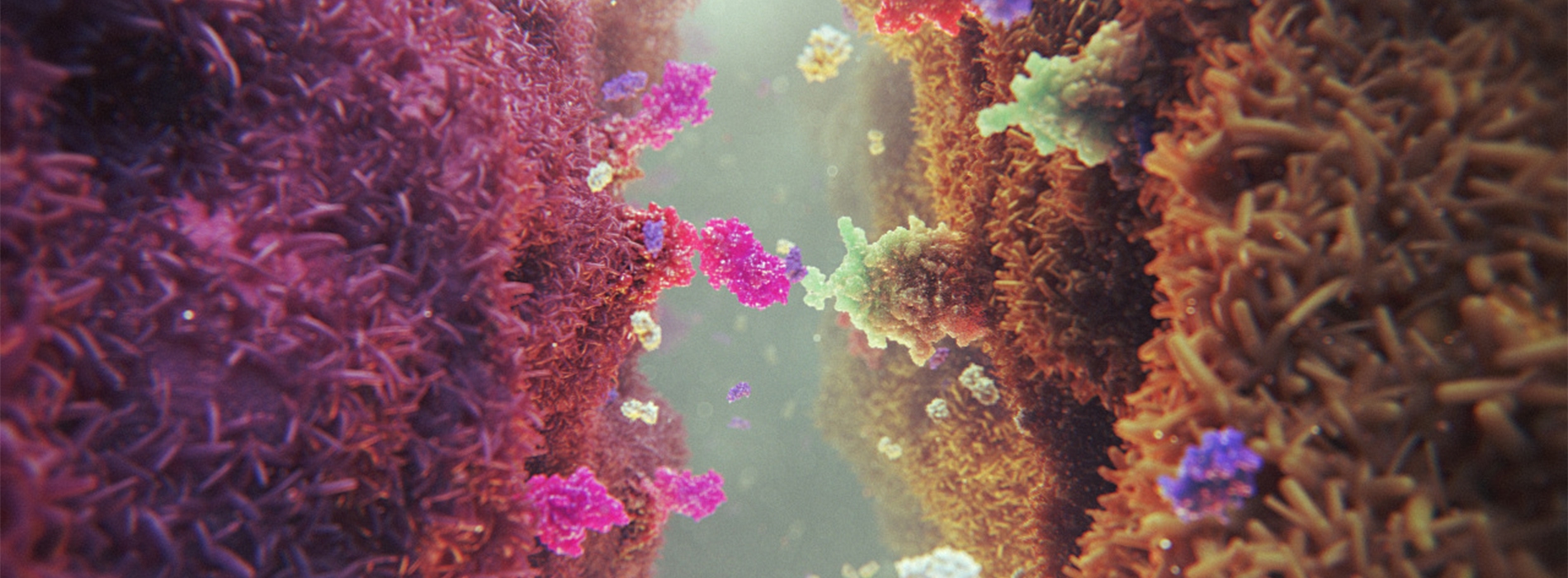 3D model of a T cell therapy designed by Random42