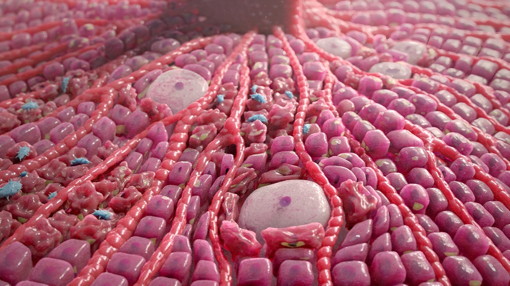 Pharmaceutical Medical Animation
