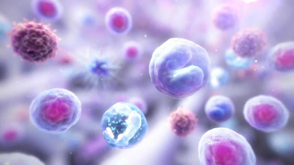 stem-cell-transplant-animation