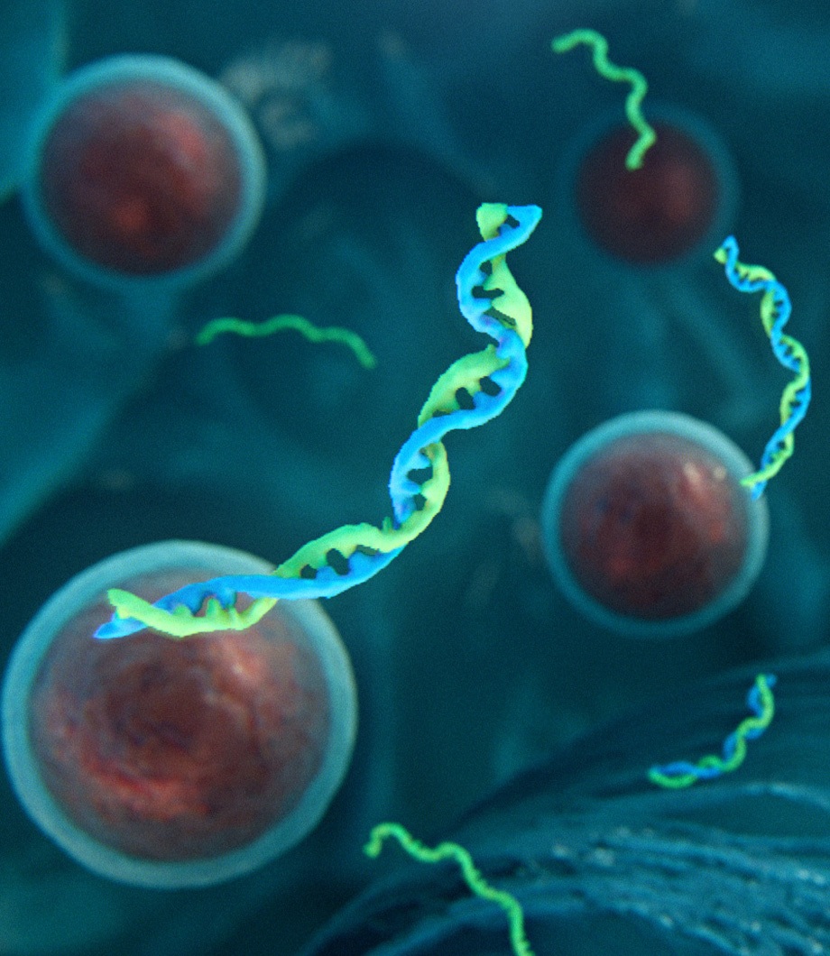 metastatic cancer animation