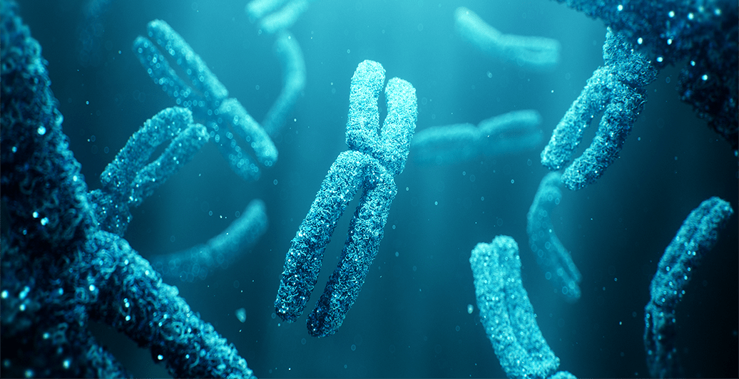 Random42 Interactive Brochure 2024